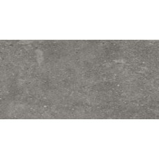 Lithops Grey 50x100x2cm