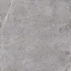 Evolution Grey 100x100x2cm
