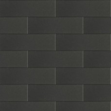 Linia palissade strak nero excellence 12x12x60cm met facet