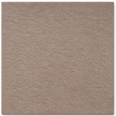 Tuintegel gecoat 60x60x4cm Pure taupe