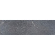 Vijverrand asian bluestone 3x25x100cm