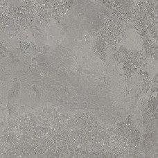 Premium Line Blueslate Nature 100x100x2cm